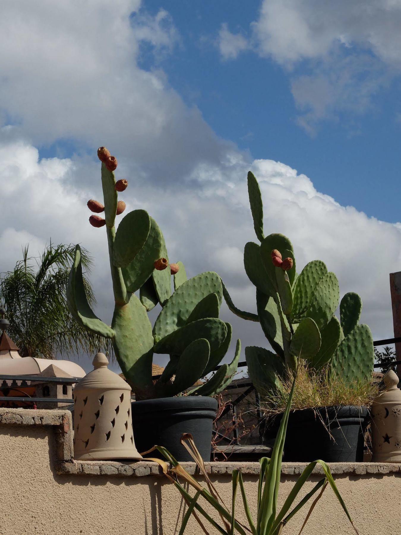 Riad Pierres Et Saveurs Soleil Marrakesh Extérieur photo